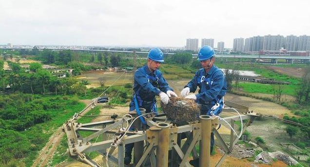 保護(hù)生態(tài)和諧共生，IKAR防墜器出一份力！